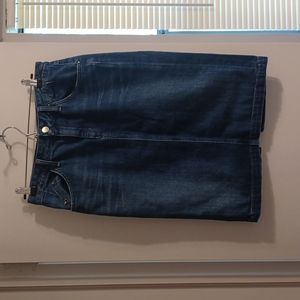 Goldsign for J. Crew Holly Skirt Denim Pencil 29